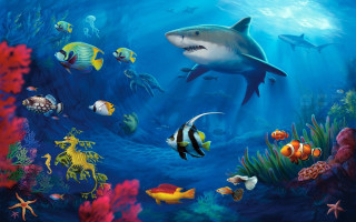 Shark ocean corals fish animals - other fish free wallpaper