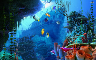 Boat ocean corals marine life 3 - marine free wallpaper