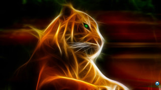 Tiger green eyes black background - light effect free wallpaper