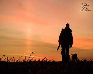 Person dog leash sunset field - arlington nelson lindenmuth free wallpaper for desktop
