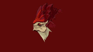 Red white rooster head background - white background free wallpaper