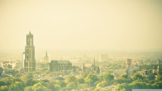 City clock tower trees buildings - tree and buildings free wallpaper