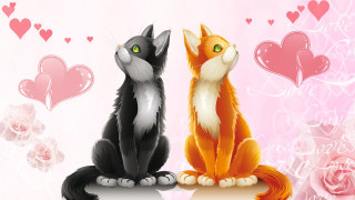 Cats table hearts pink rose - heart free wallpaper for desktop