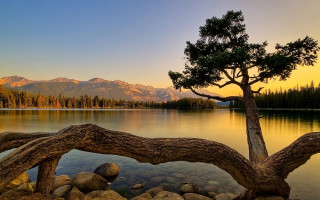 Tree lake mountains sunset dawn 5 - bob ross free wallpaper