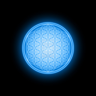 Blue flower life dark black - buckminster fuller free wallpaper for tablet
