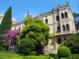 Neo gothic castle garden tree - bush free wallpaper