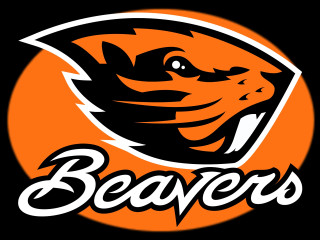 Beaver logo beavers head center - the center of it free wallpaper