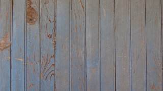 Cat sitting wooden floor peeling - brice marden free wallpaper