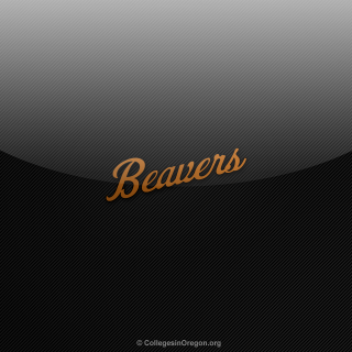 Black gold background beavers side - below free wallpaper for tablet