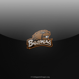 Bear logo black background brown - brenda chamberlain free wallpaper for tablet