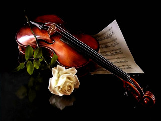 Violin rose table music sheets - beautiful composition free wallpaper