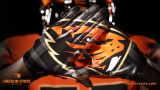 Close up person glove tiger - a glove free wallpaper