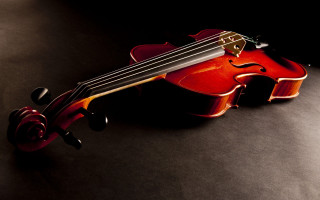 Violin rose black surface boleslaw - a rose free wallpaper