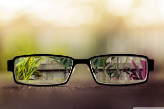 Glasses plant reflection bench macro - deep free wallpaper for desktop