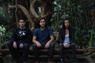 Three people bench forest trees - behind them free wallpaper