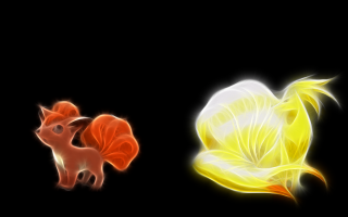 Flower cat black background light - firefly free wallpaper for desktop