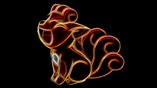 Red yellow animal black background 3 - pokemon free wallpaper for desktop