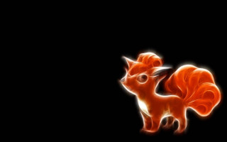 Red fox black background fox - a red fox free wallpaper