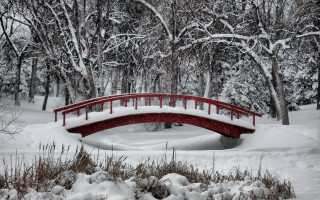 Red bridge snowy park pond 2 - alexander johnston free wallpaper