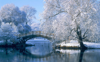 Bridge river snow trees small 3 - the middle free wallpaper