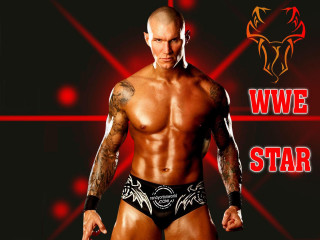 Man tattoo wrestling belt chest - anthony palumbo free wallpaper