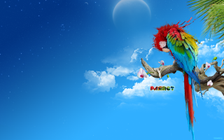Colorful parrot sitting branch palm - a colorful parrot free wallpaper