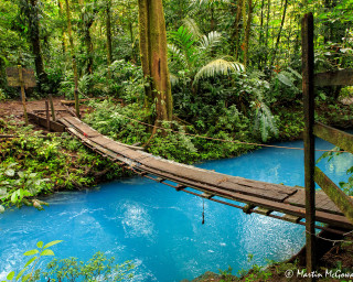Wooden bridge river forest blue - a rope free wallpaper for desktop