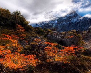 Mountain trees rocks cloudy sky - landscape free wallpaper for desktop