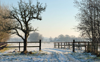 Snowy field wooden fence tree - david brewster free wallpaper