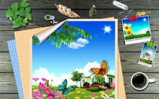 Garden butterfly coffee table nature - the table next free wallpaper