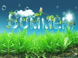 Summer grass butterfly blue sky - free summer wallpaper