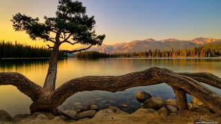 Tree lake mountains sunset dawn 4 - bob ross free wallpaper