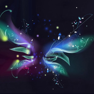 Colorful butterfly black blue red - claire dalby free wallpaper for tablet