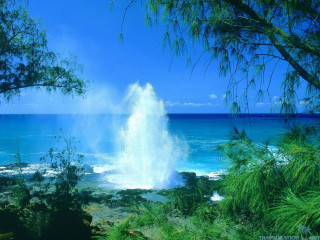 Large wave ocean sunny day 3 - green tree free wallpaper