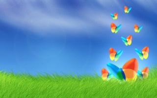 Butterflies flying field grass blue - a green grass field free wallpaper