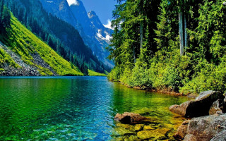 Mountain lake forest trees rocks - a mountain lake free wallpaper
