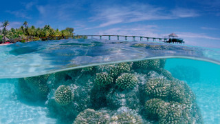 Coral reef pier boat water 2 - a coral reef free wallpaper