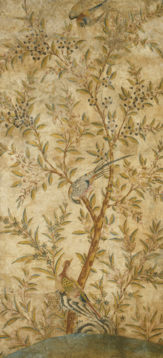 Bird tree branch perched painting - the branch of a tree free wallpaper