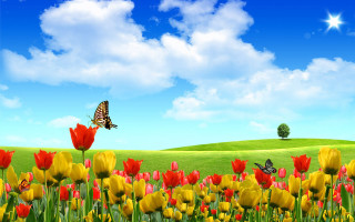 Flower field butterfly blue sky 2 - ammi phillips free wallpaper
