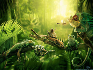 Animals branch jungle lizard group - a group of animals free wallpaper