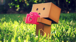Toy camera cardboard figure grass - photographic free wallpaper