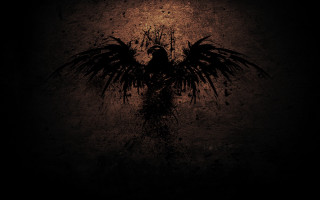 Bird large wings dark background - back side free wallpaper