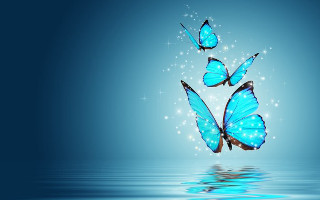 Blue butterflies water stars hologram - over water free wallpaper