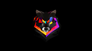 Colorful wolf head black background 3 - the left side of the image free wallpaper
