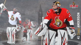 Hockey player team poster photo - symmetry!! free wallpaper