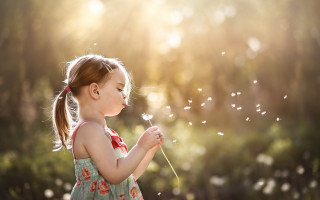 Little girl blowing dandelion sun - a little girl free wallpaper