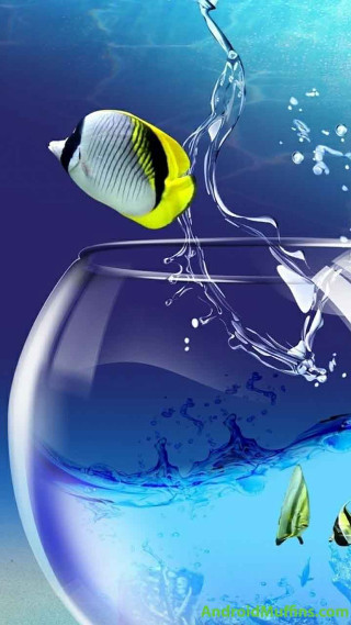 Fish bowl water plastic bottle - plastic free wallpaper