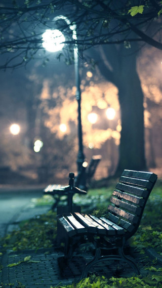 Park bench sidewalk tree night - a tree free wallpaper for mobile