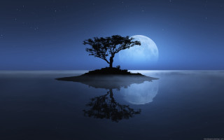 Tree island ocean night full 2 - david martin free wallpaper