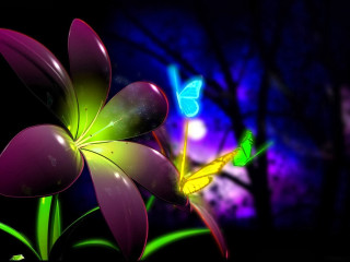 Flower butterfly night sky dark - rich color free wallpaper